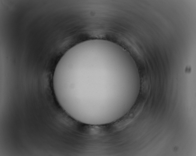 X0000102870229200809021455