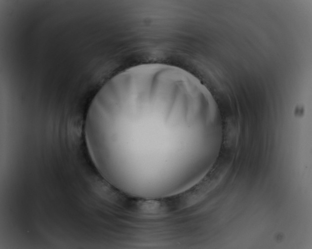 X0000102870230200809021455