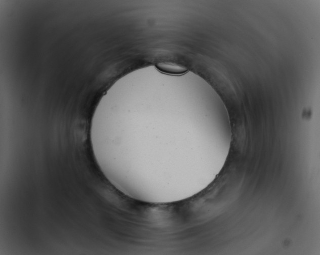 X0000102870232200809021455