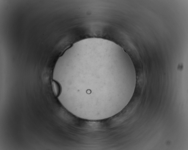 X0000102870233200809021455