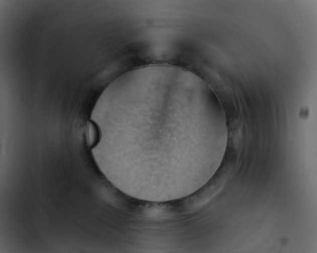 X0000102870235200809021455