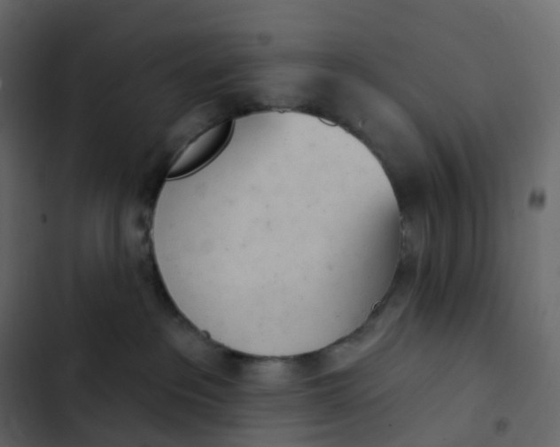 X0000102870237200809021455