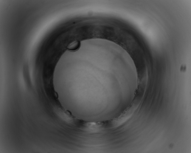 X0000102870239200809021455