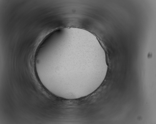 X0000102870241200809021454