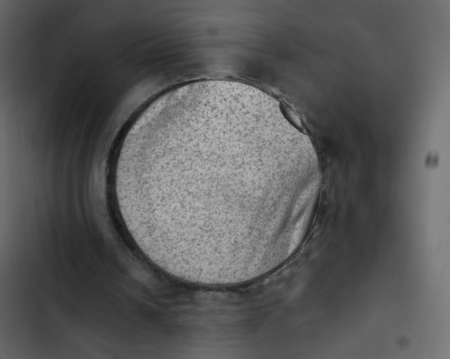 X0000102870242200809021454