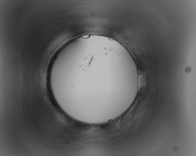 X0000102870243200809021454