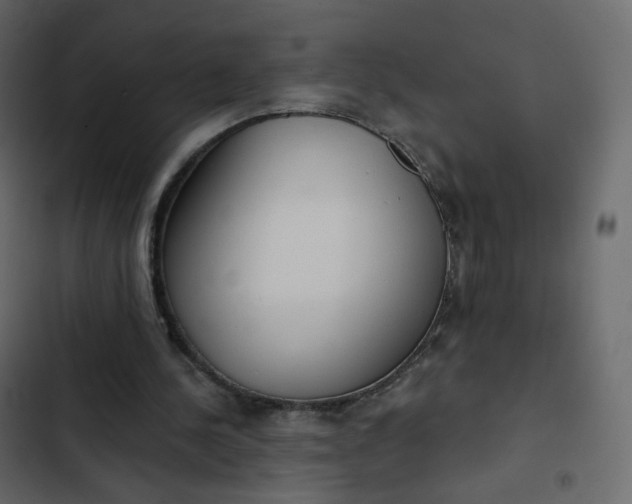 X0000102870244200809021454