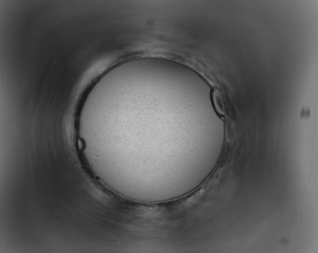 X0000102870245200809021454