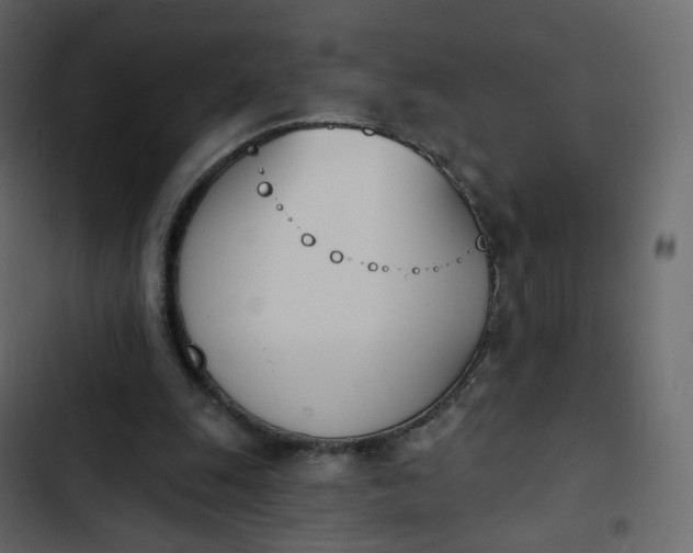 X0000102870247200809021454