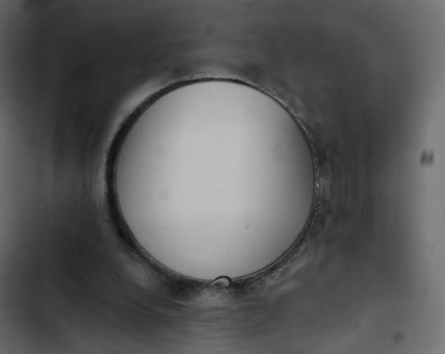 X0000102870248200809021454