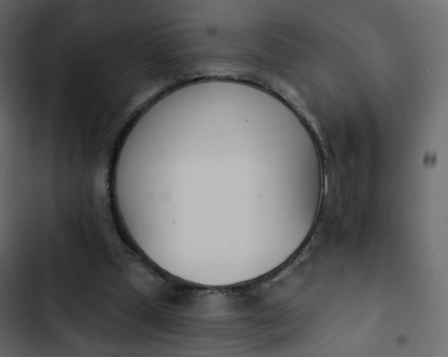 X0000102870249200809021454