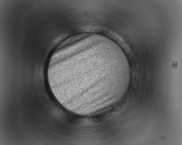 X0000102870250200809021454