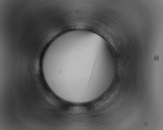 X0000102870251200809021454