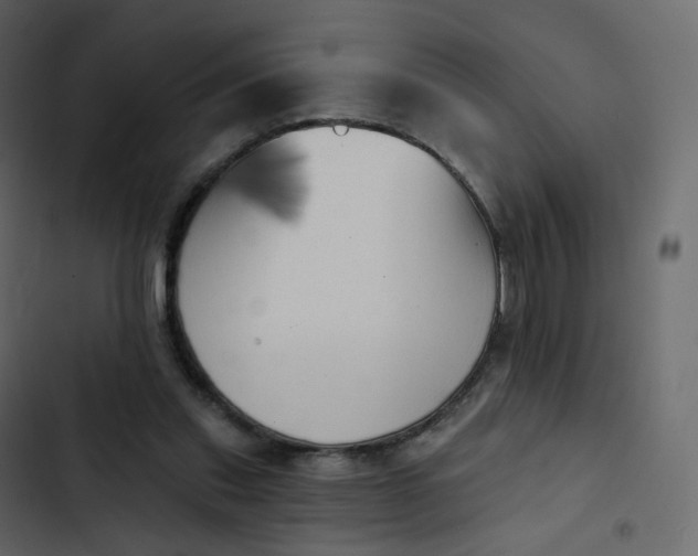 X0000102870253200809021454