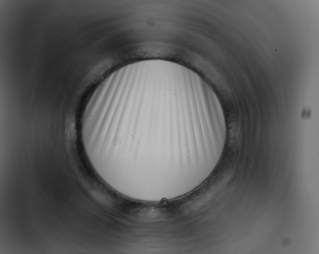 X0000102870254200809021454