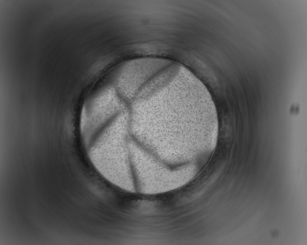 X0000102870255200809021454