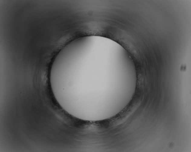 X0000102870259200809021454