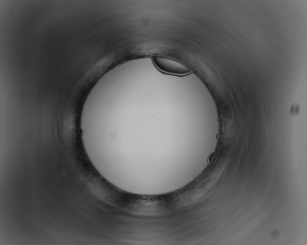 X0000102870260200809021454