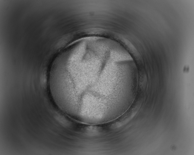 X0000102870261200809021454