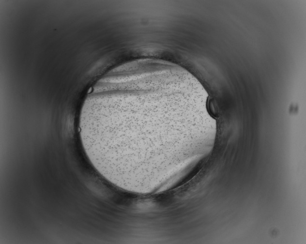 X0000102870262200809021454