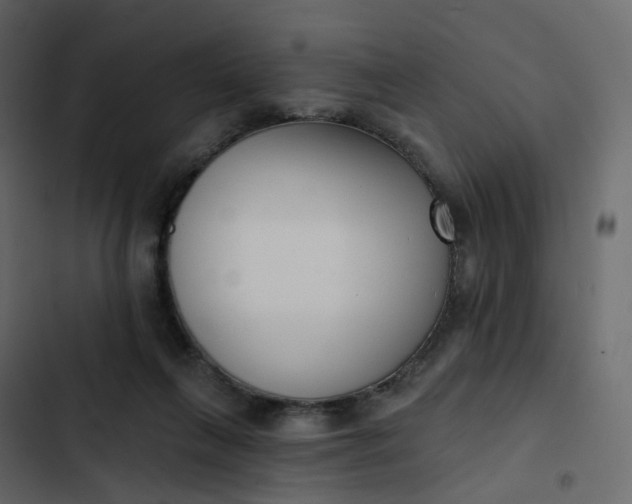 X0000102870263200809021454