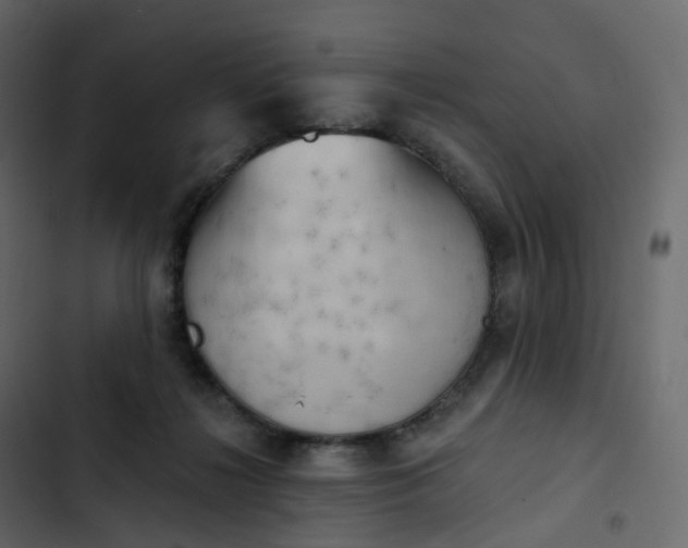 X0000102870268200809021454