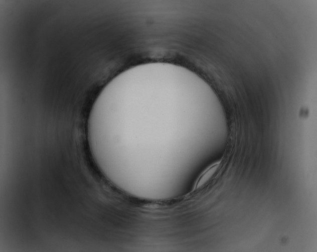 X0000102870272200809021454