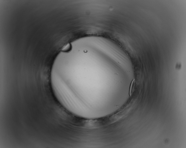 X0000102870273200809021454