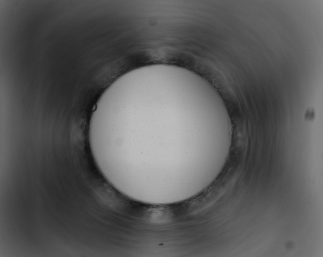 X0000102870275200809021454