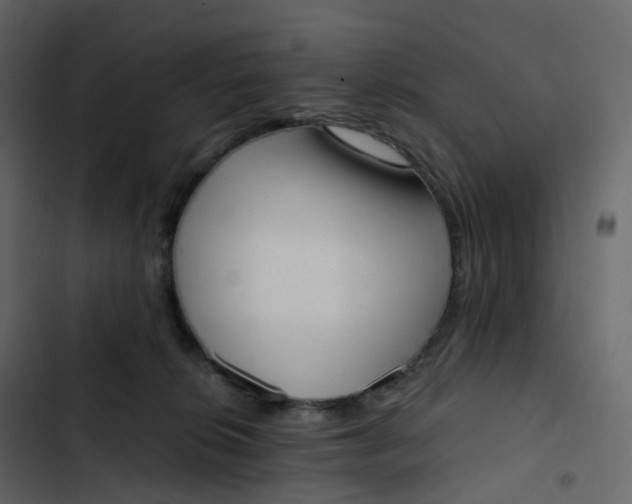 X0000102870276200809021454