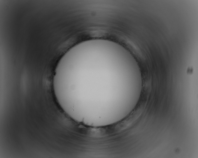 X0000102870277200809021455