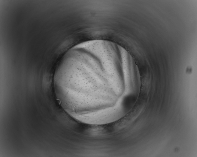 X0000102870278200809021455