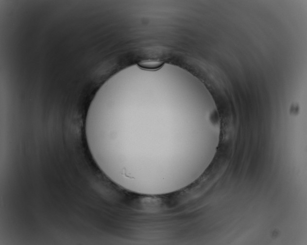 X0000102870279200809021455