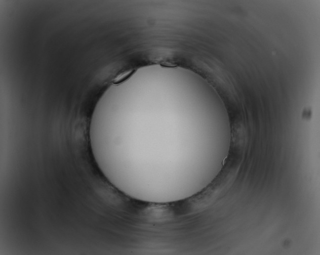 X0000102870280200809021455