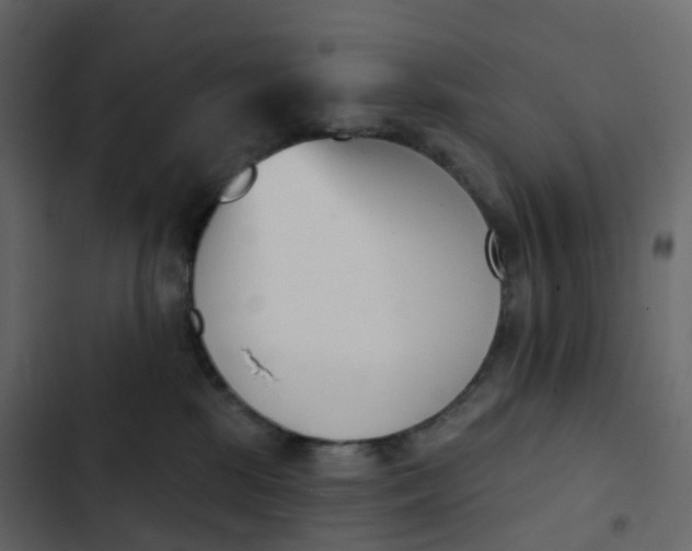 X0000102870281200809021455