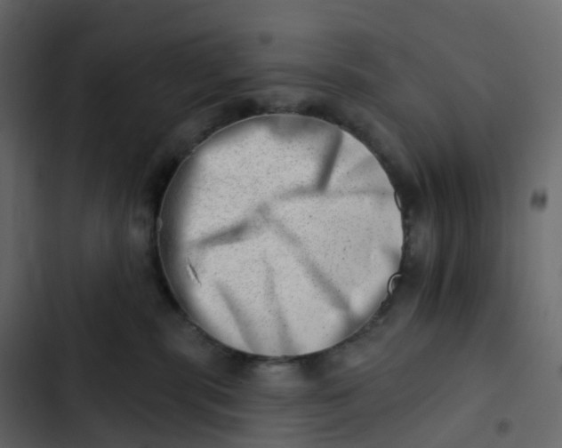 X0000102870283200809021455