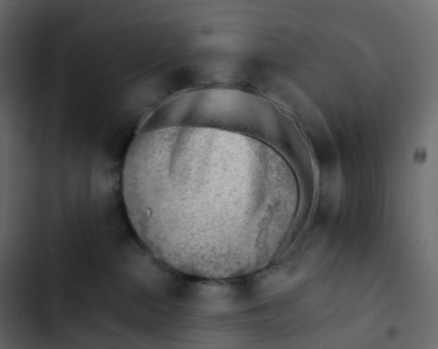 X0000102870284200809021455