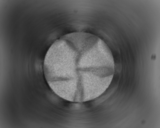 X0000102870286200809021455