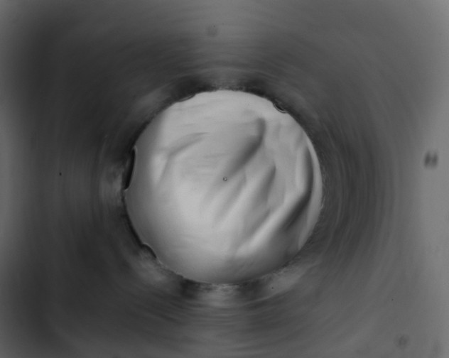 X0000102870288200809021455