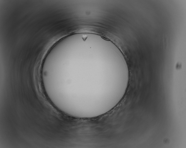 X0000102870289200809021454