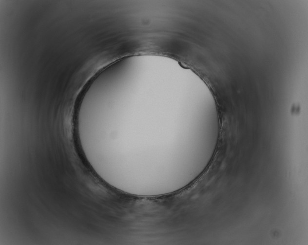 X0000102870290200809021454