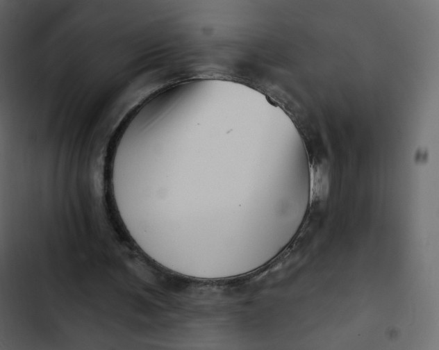 X0000102870291200809021454