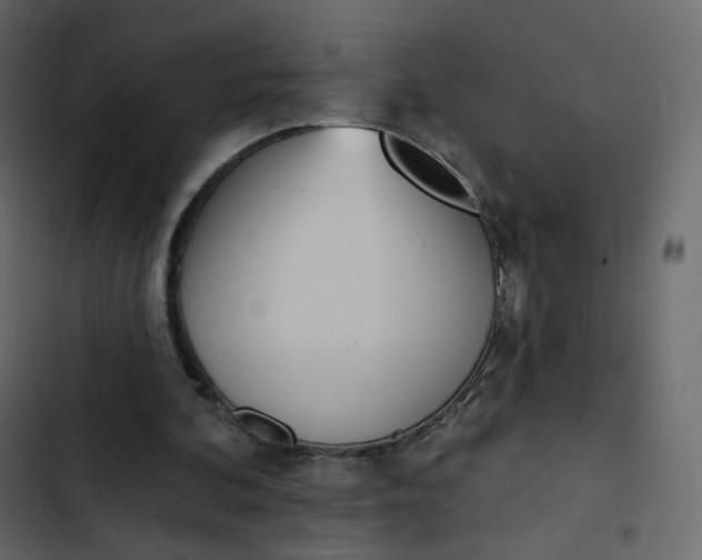 X0000102870292200809021454