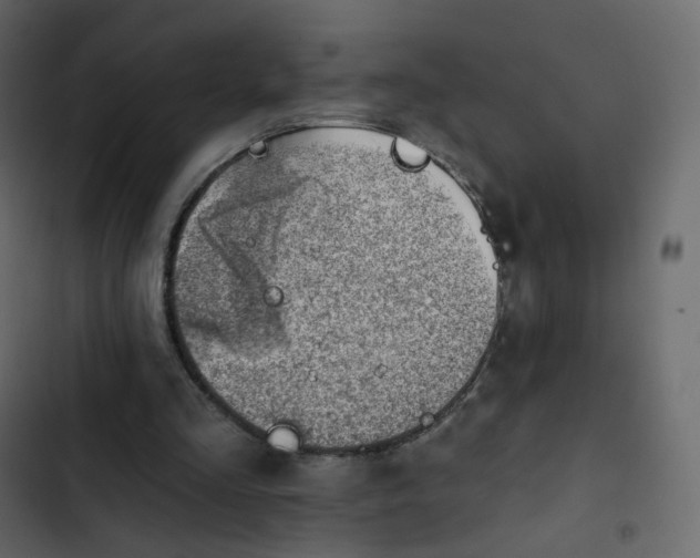 X0000102870293200809021454