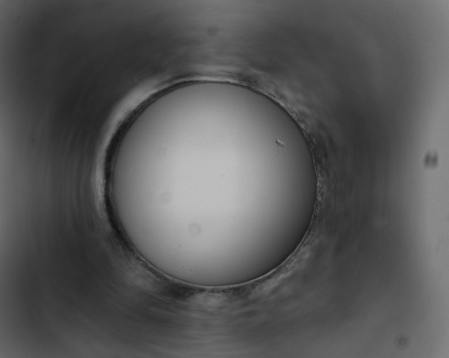 X0000102870294200809021454