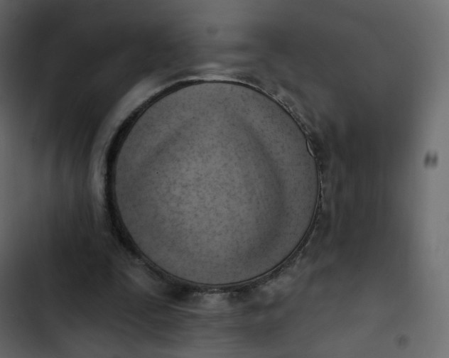 X0000102870295200809021454