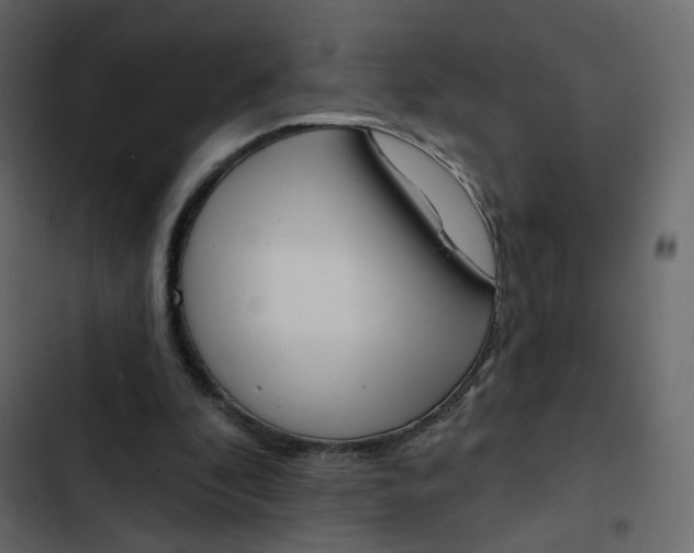 X0000102870296200809021454