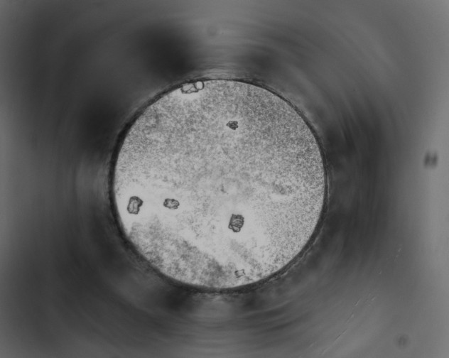 X0000102870297200809021454