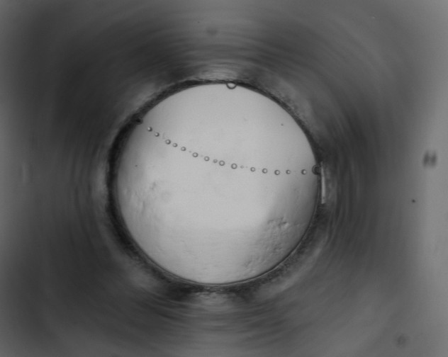 X0000102870300200809021454