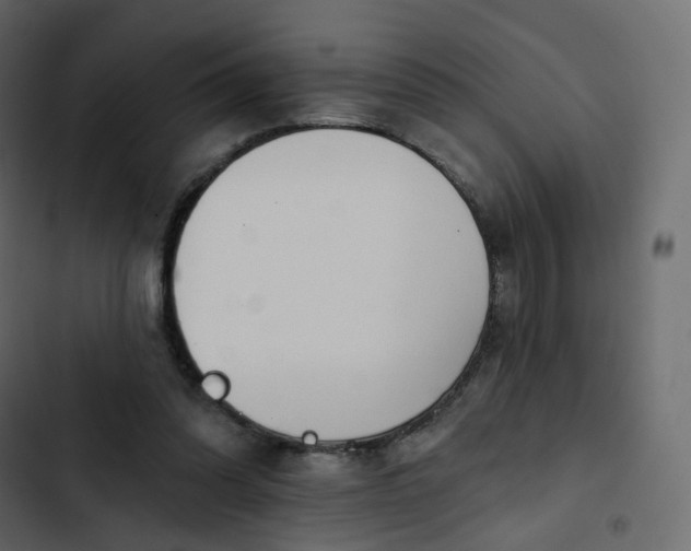 X0000102870302200809021454